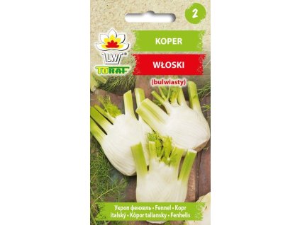 BULVOVÝ FENYKL – KOPR ITALSKÝ Foeniculum vulgare