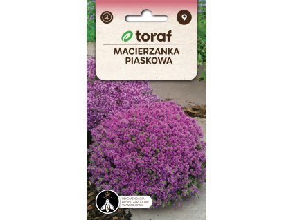 Mateřídouška úzkolistá – semena Thymus serpyllum