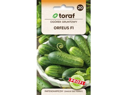OKURKA POLNÍ ORFEUS F1 (partenokarpická)