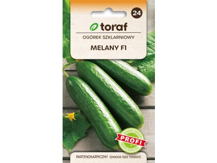 OKURKA SKLENÍKOVÁ MELANY F1