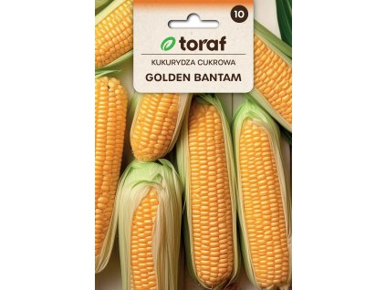 KUKUŘICE ODRŮDA GOLDEN BANTAM2