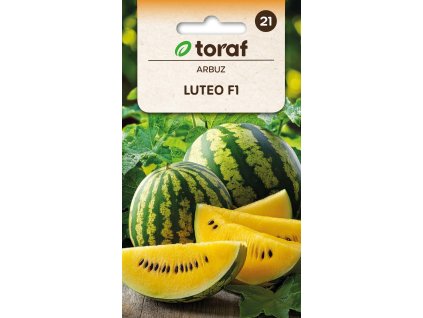 VODNÍ MELON ODRŮDA LUTEO F1