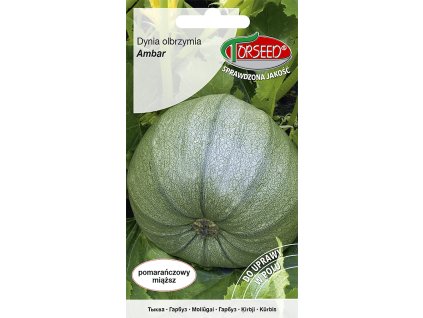 DÝNĚ OBROVSKÁ ODRŮDA AMBAR