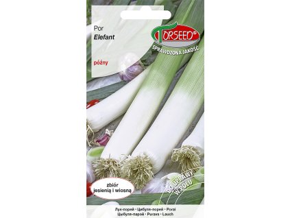 PÓREK ODRŮDA ELEFANT pozdní