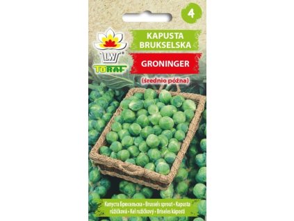 KAPUSTA RŮŽIČKOVÁ ODRŮDA GRONINGER