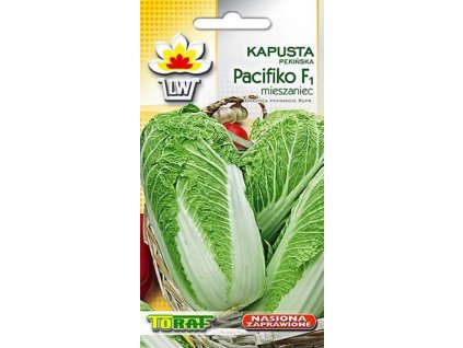 BRASSICA RAPA L. SUBSP. PEKINENSIS