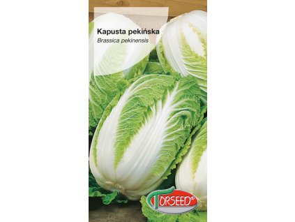 PEKINGSKÉ ZELÍ HILTON