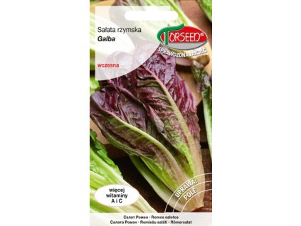 SALÁT ŘÍMSKÝ ODRŮDA GALBA