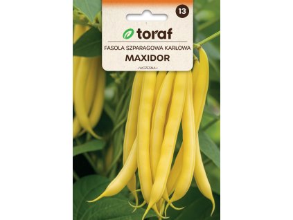 fazole MAXIDOR semena