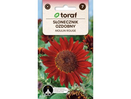 slunečnice MOULIN ROUGE