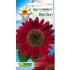 Slunečnice červené slunce-HELIANTHUS ANNUS/cca 65 semen/