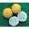 LemonOkurka6