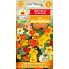 nasturcja karlowa mix f