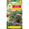 Kaktusy směs – semena exotických kaktusů Cactus spp.