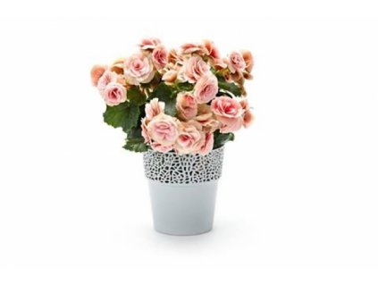 SEMPRO květináč Rosa 115, výška 12cm světle šedá