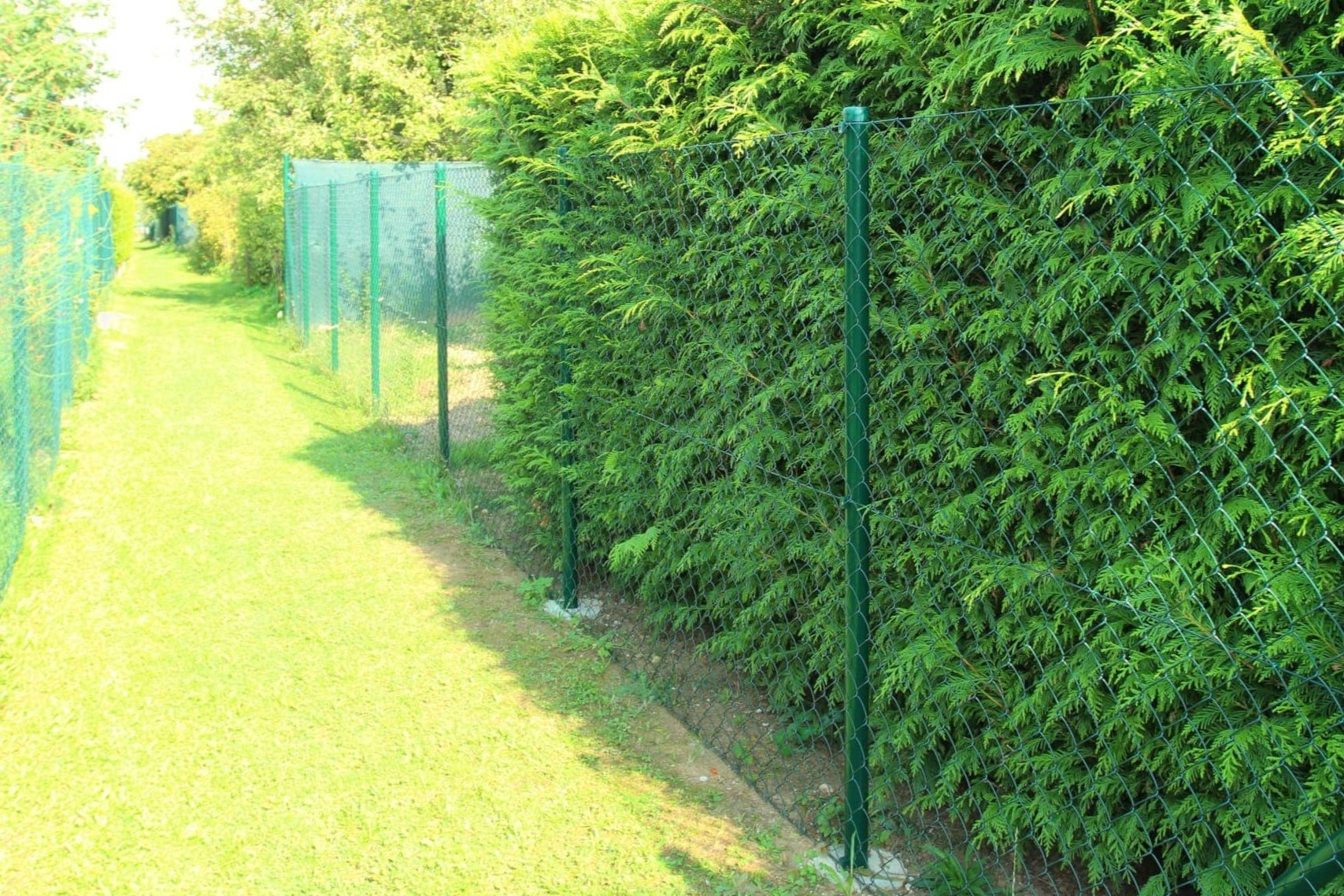 Oplocení v zahrádkářské kolonii