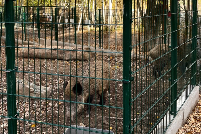 Oplocení venkovního výběhu zvířat