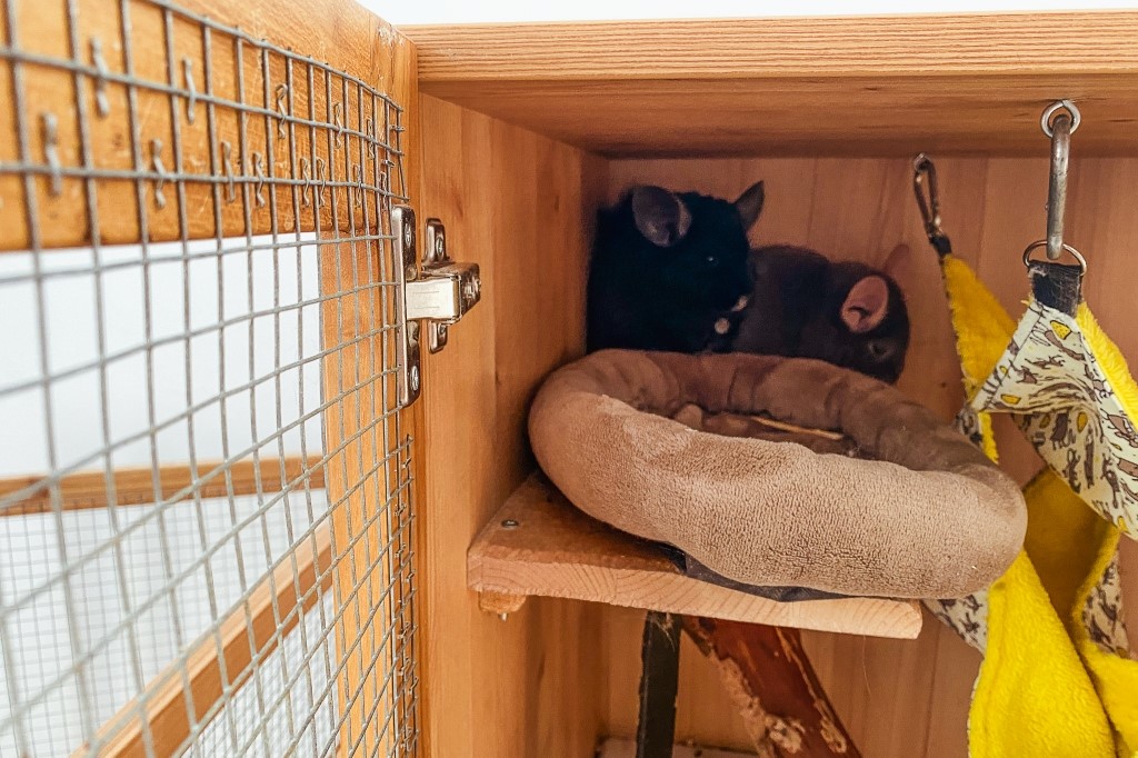 Využití voliérového pletiva – výroba klece pro činčily i jiné hlodavce