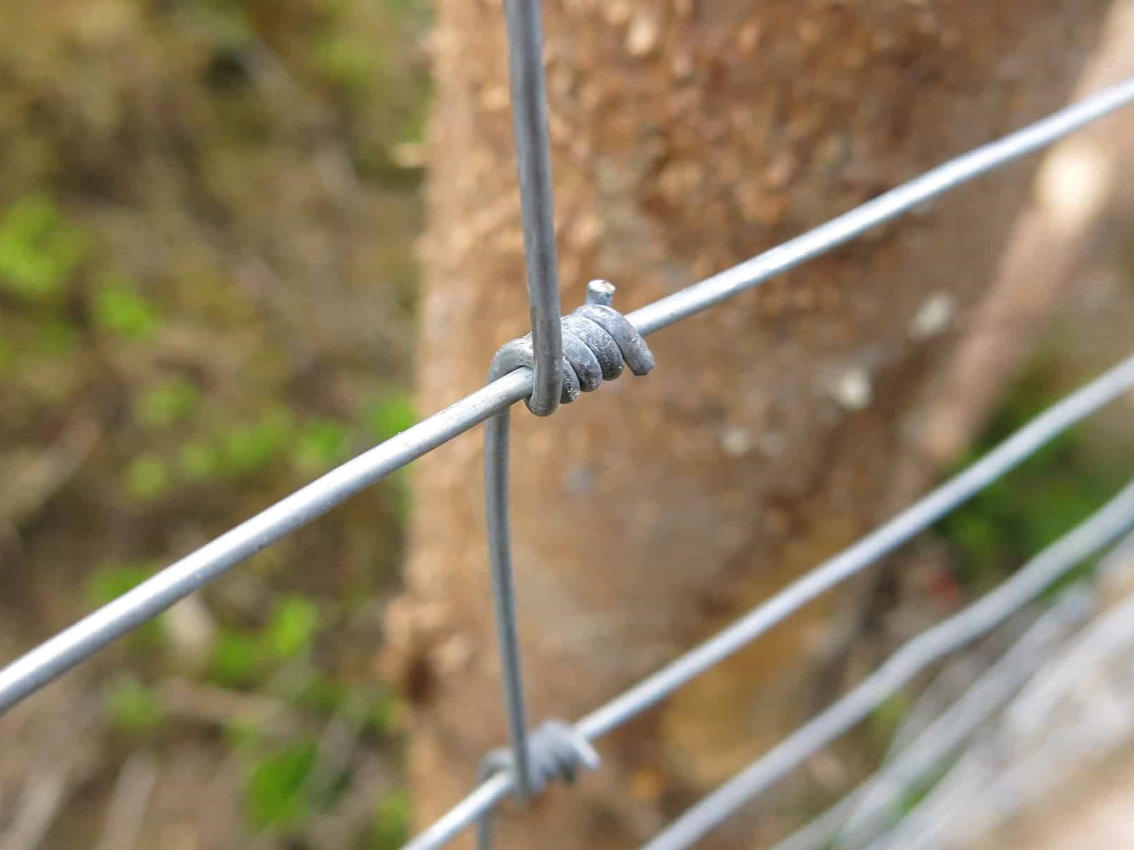 Oplocení proti divoké zvěři: Jak ochránit svůj pozemek?