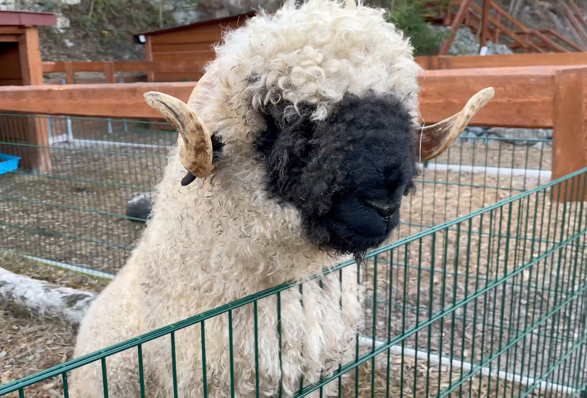 Generální partner Farmaparku u Toma