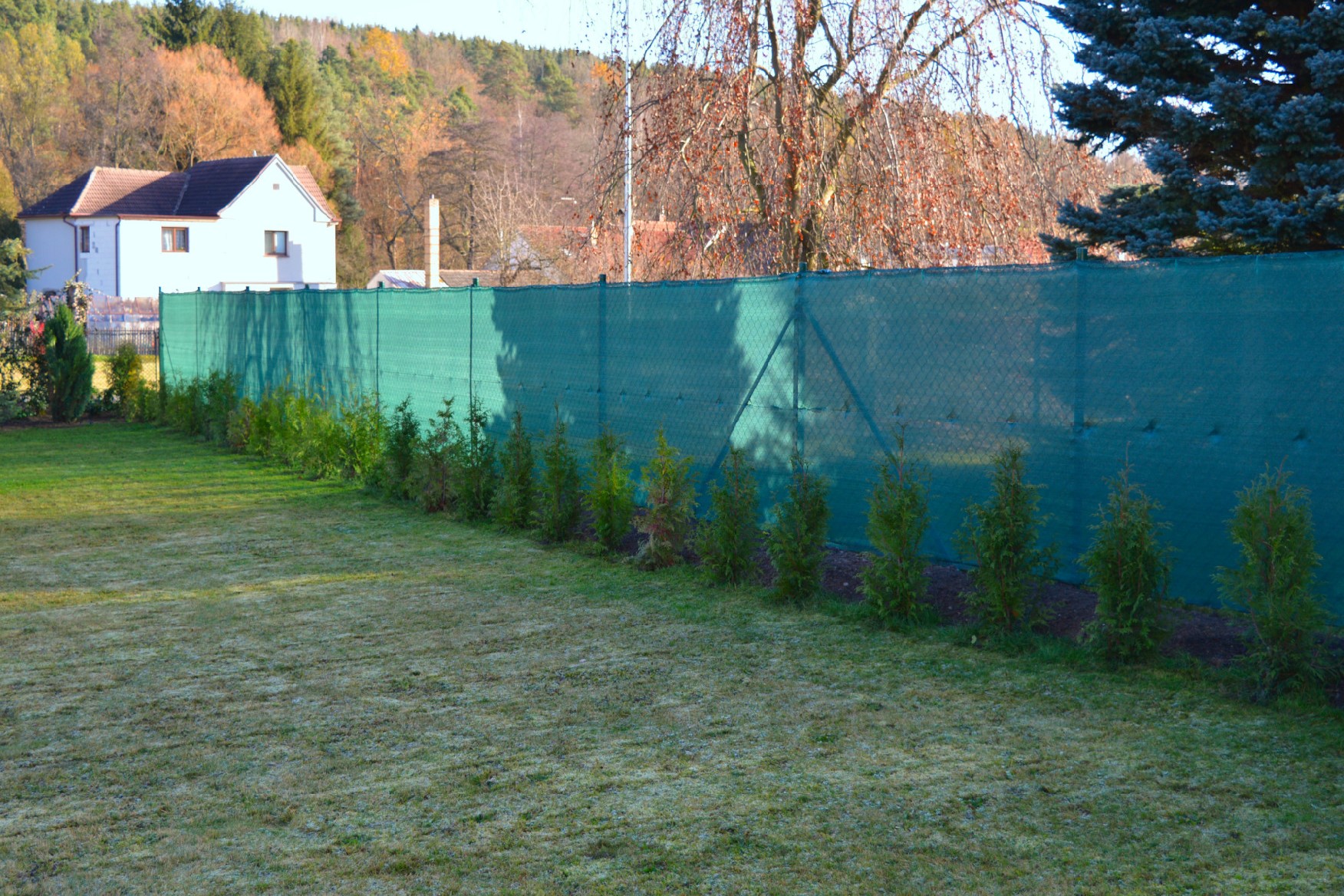 Jak zakrýt pletivový plot