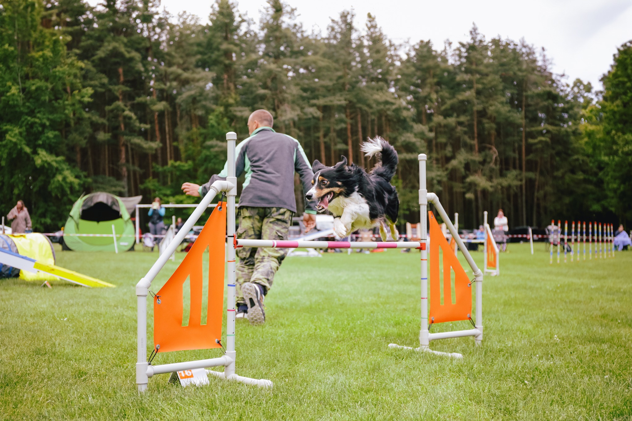 Fotografie – podprujeme psí soutěže – Ploty Dobrý