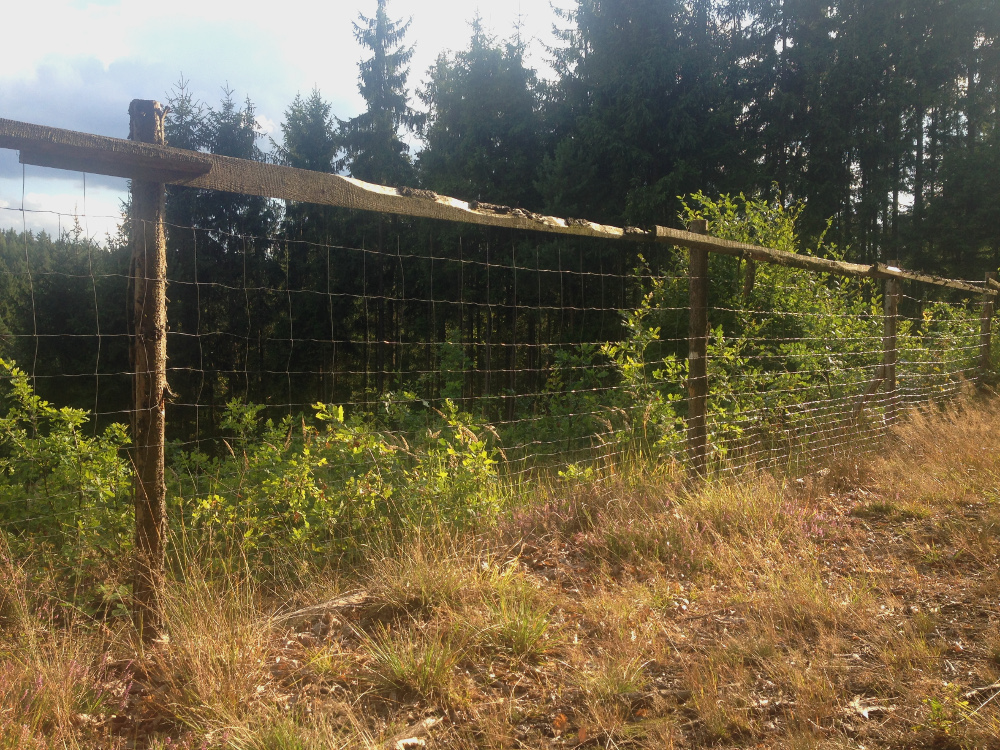 Lesnické pletivo – Ploty Dobrý