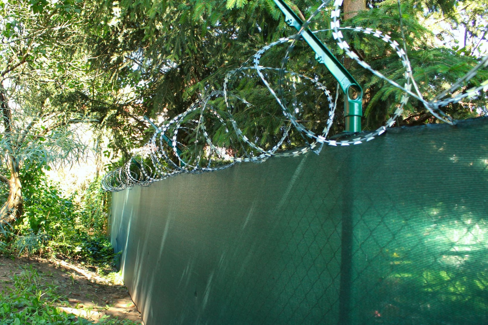 Ostnatý drát bavolety – Ploty Dobrý