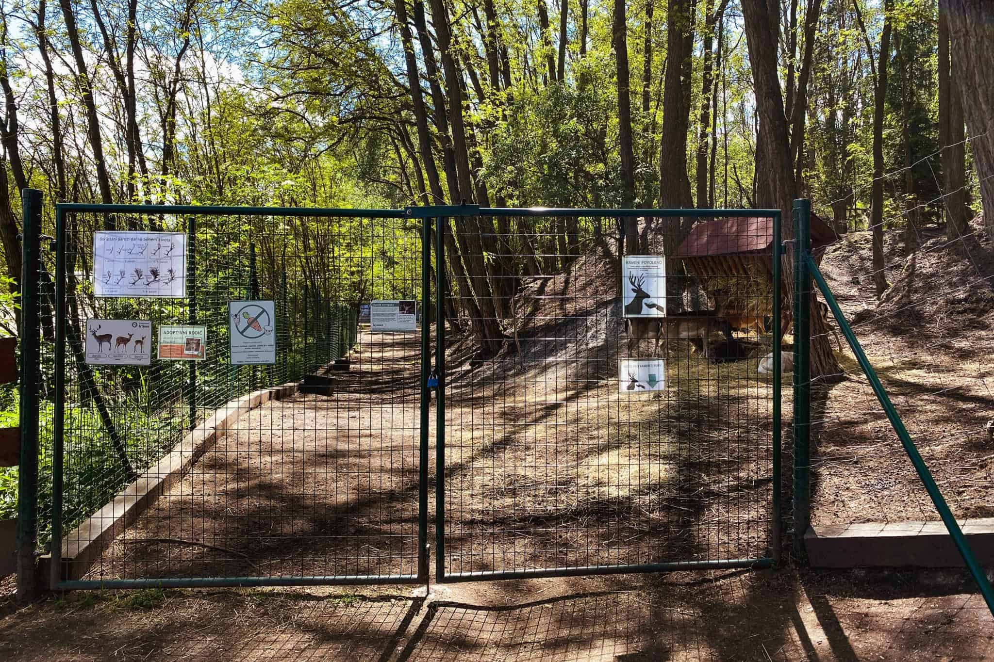 Oplocení výběhu pro zvířata – Ploty Dobrý