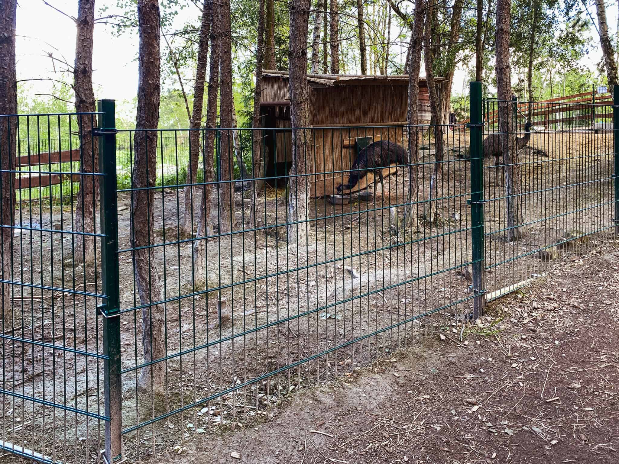 Oplocení výběhu pro zvířata – Ploty Dobrý