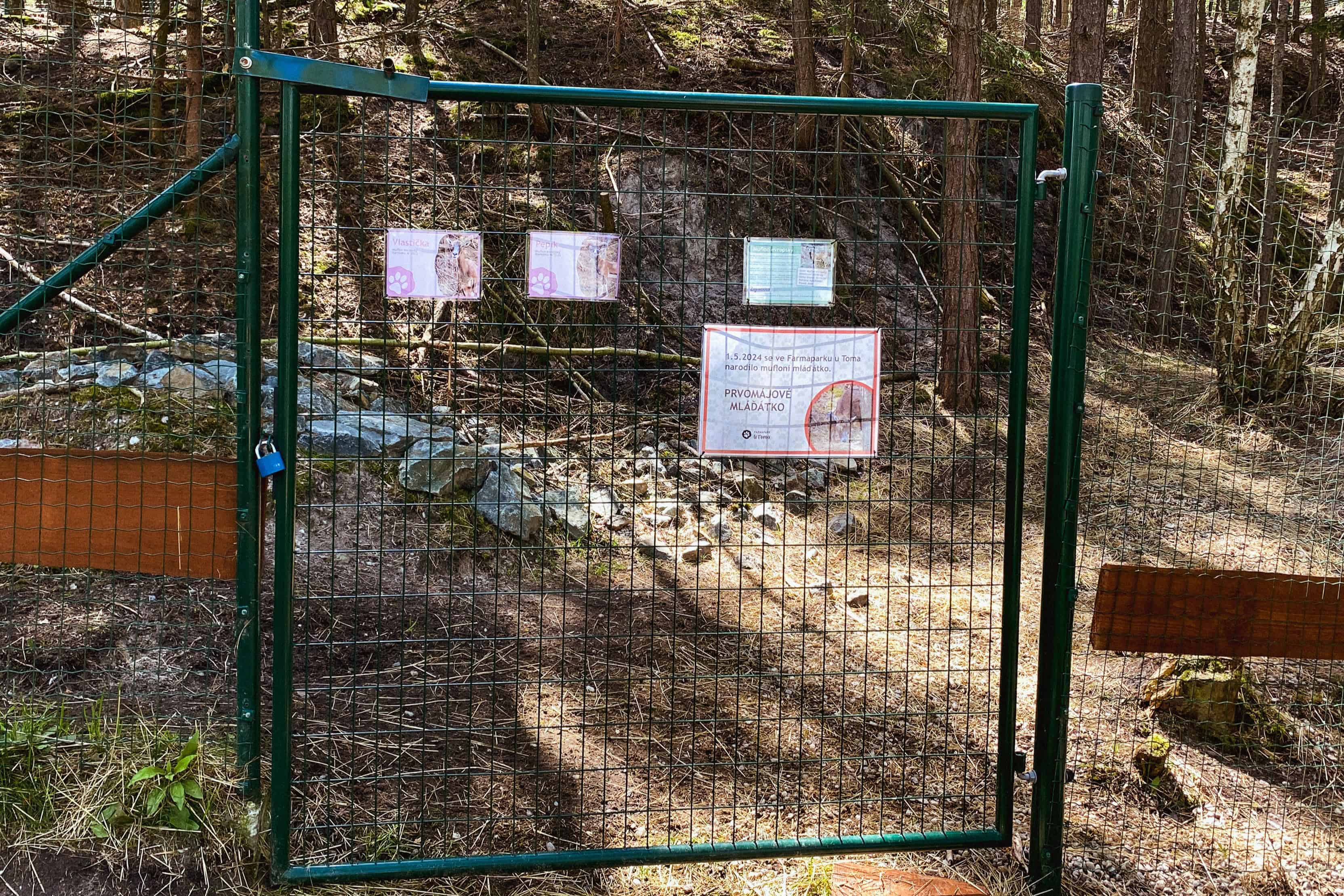 Oplocení výběhu pro zvířata – Ploty Dobrý