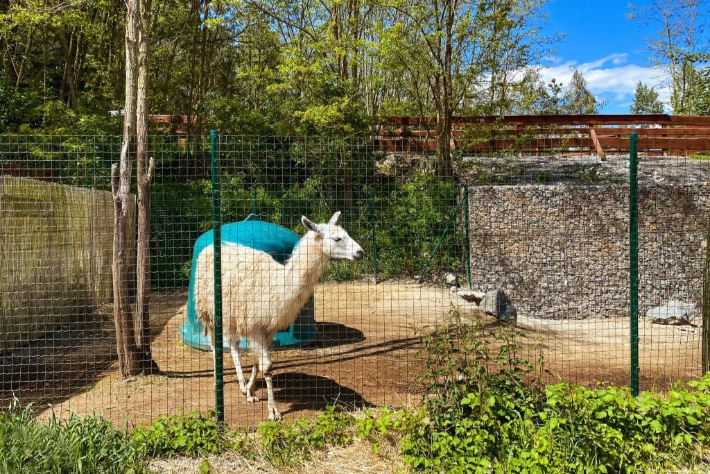 Oplocení – Ploty Dobrý
