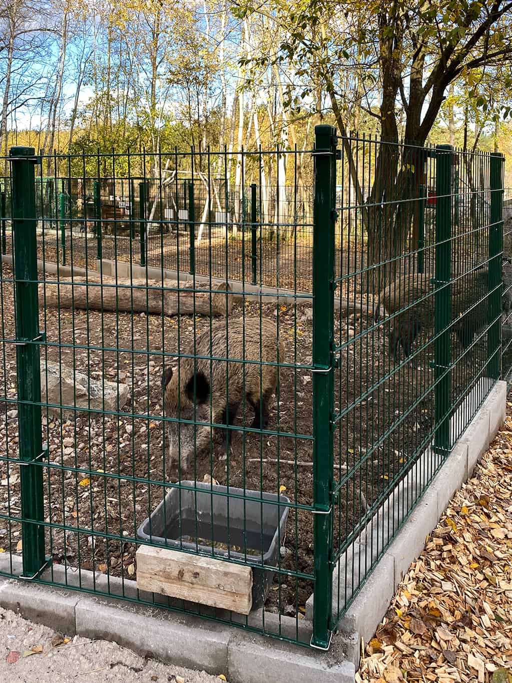 Oplocení obory – Ploty Dobrý