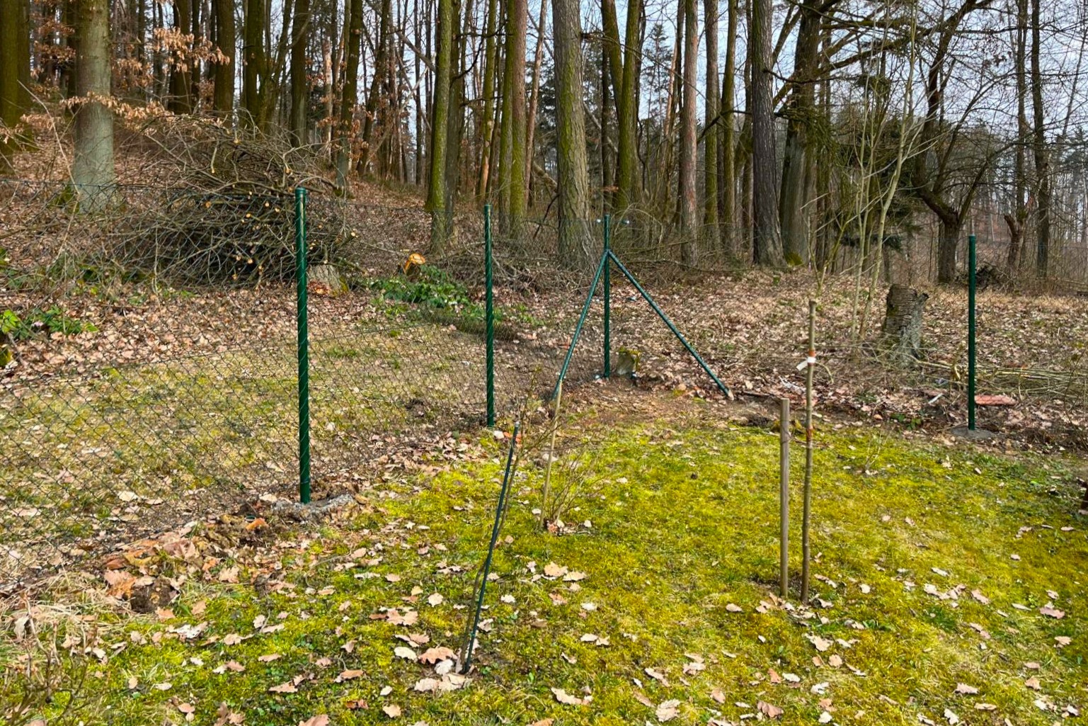 Čtyřhranné pletivo – Ploty Dobrý