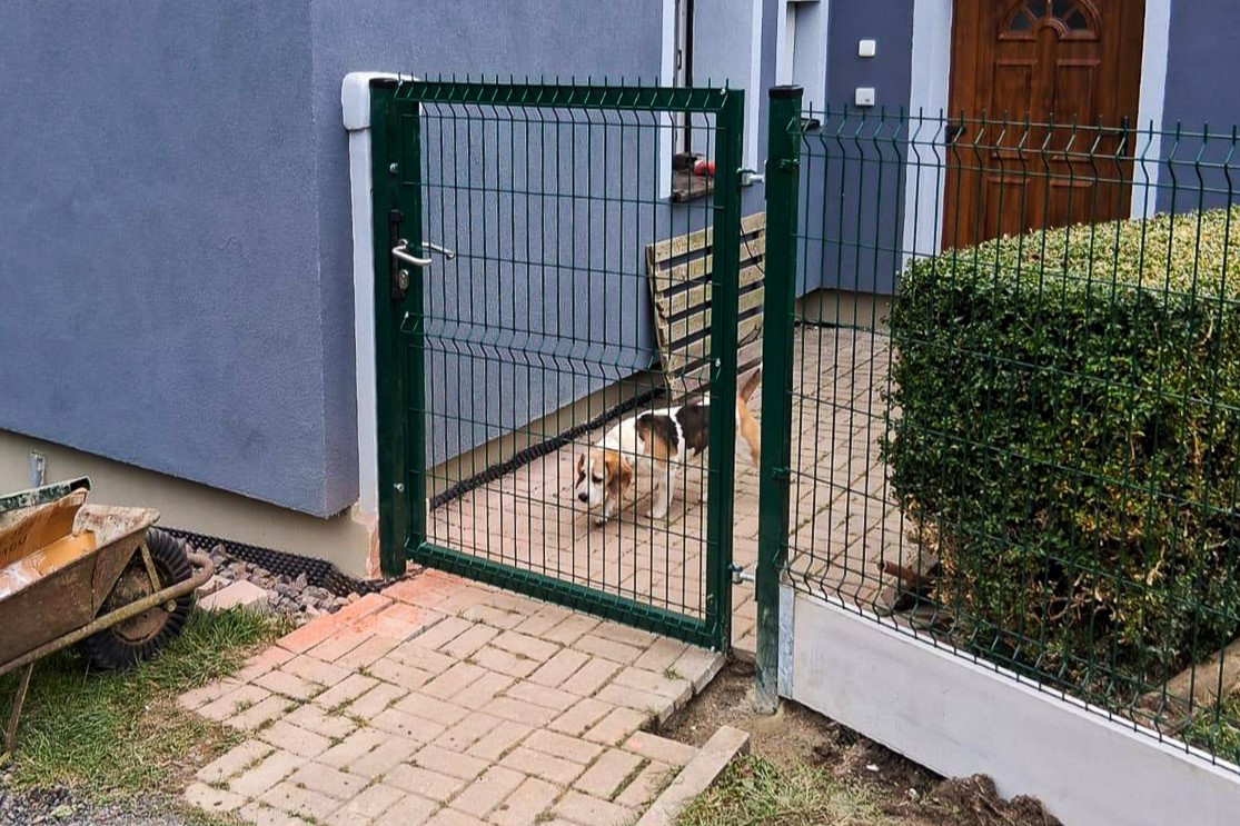 Plotové panely vhodné pro psy – Ploty Dobrý