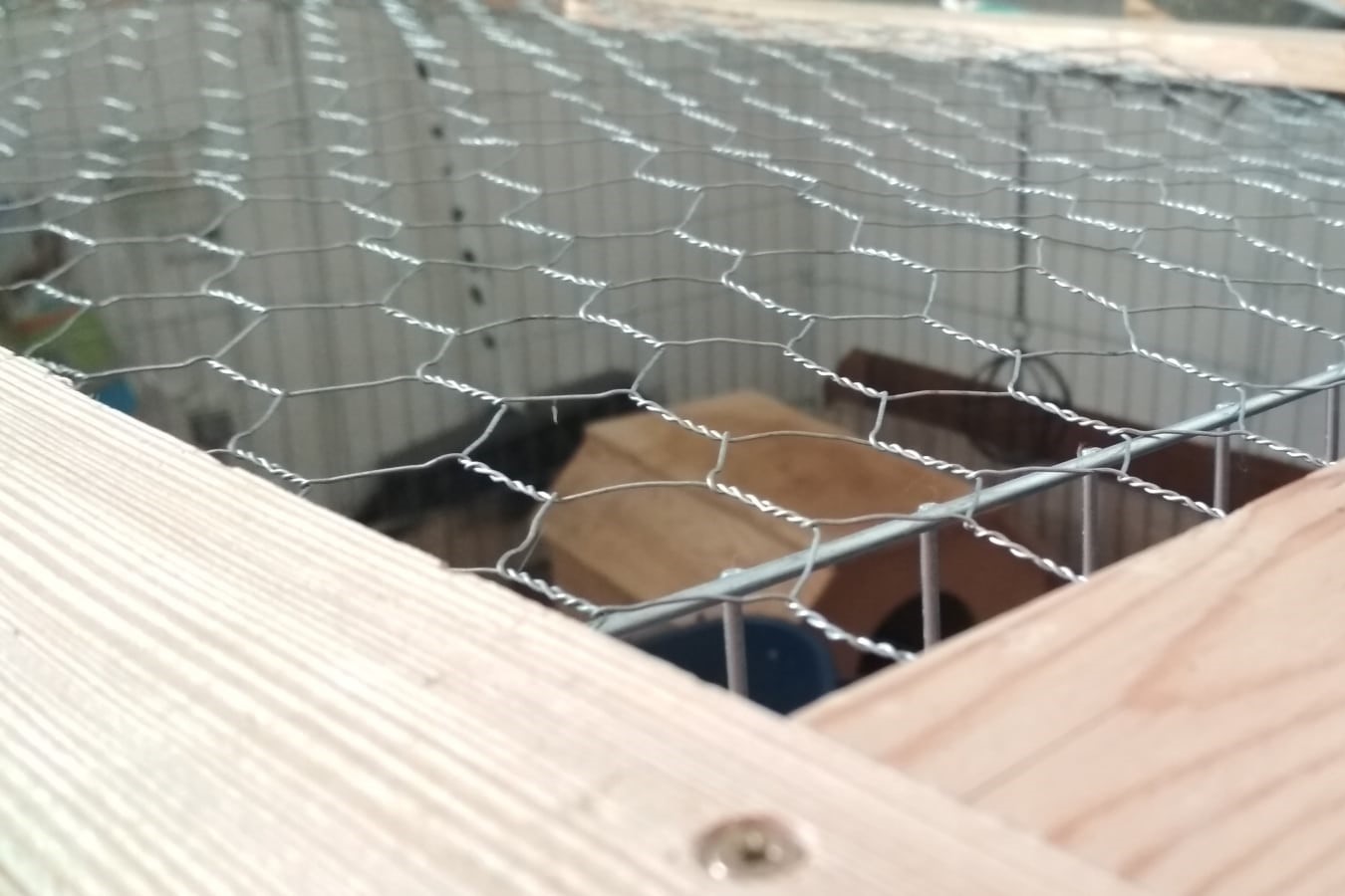Králičí chovatelské pletivo – Ploty Dobrý