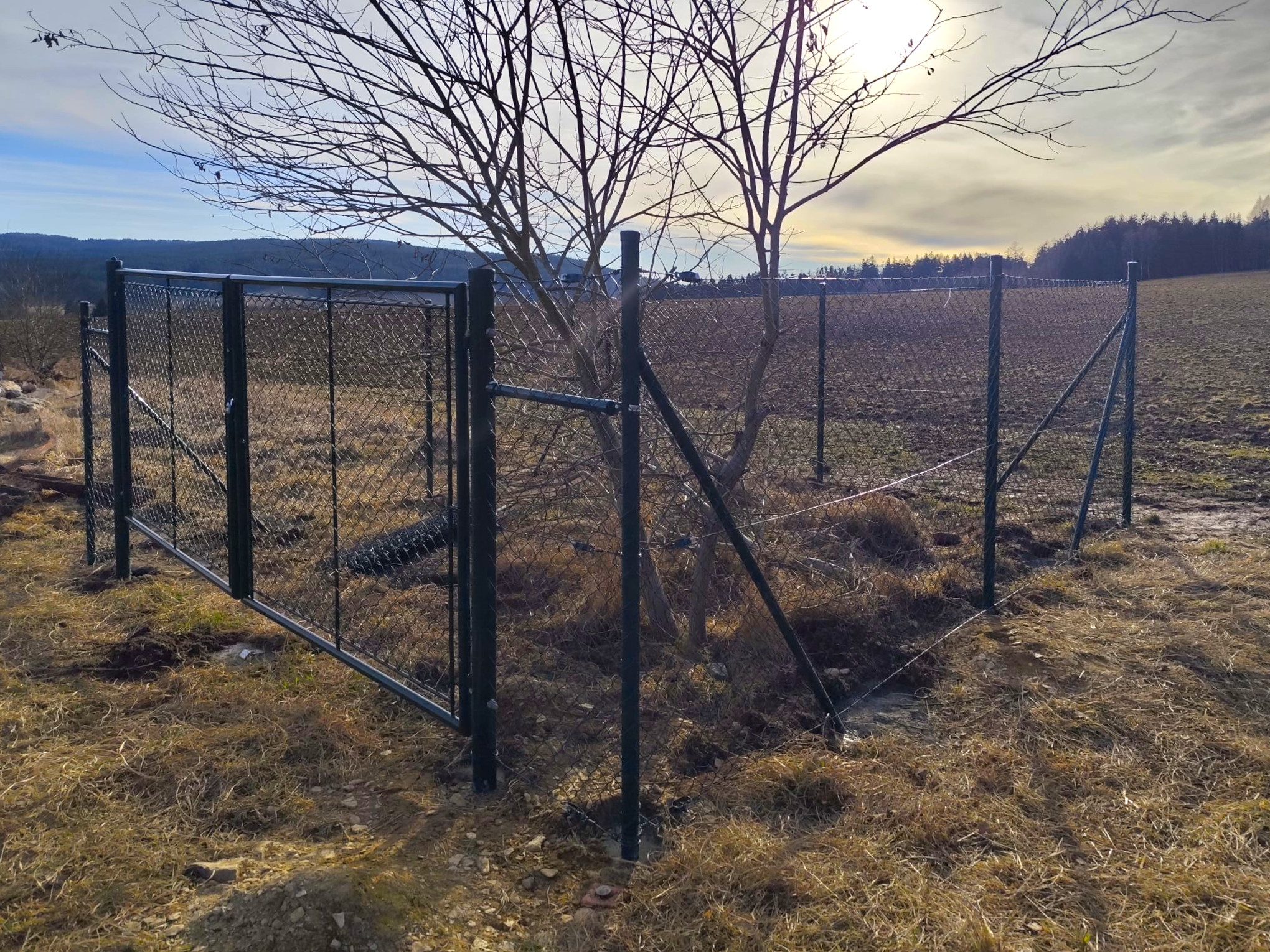 6dc3d5ca-8259-45dd-8392-e57bac8052f1