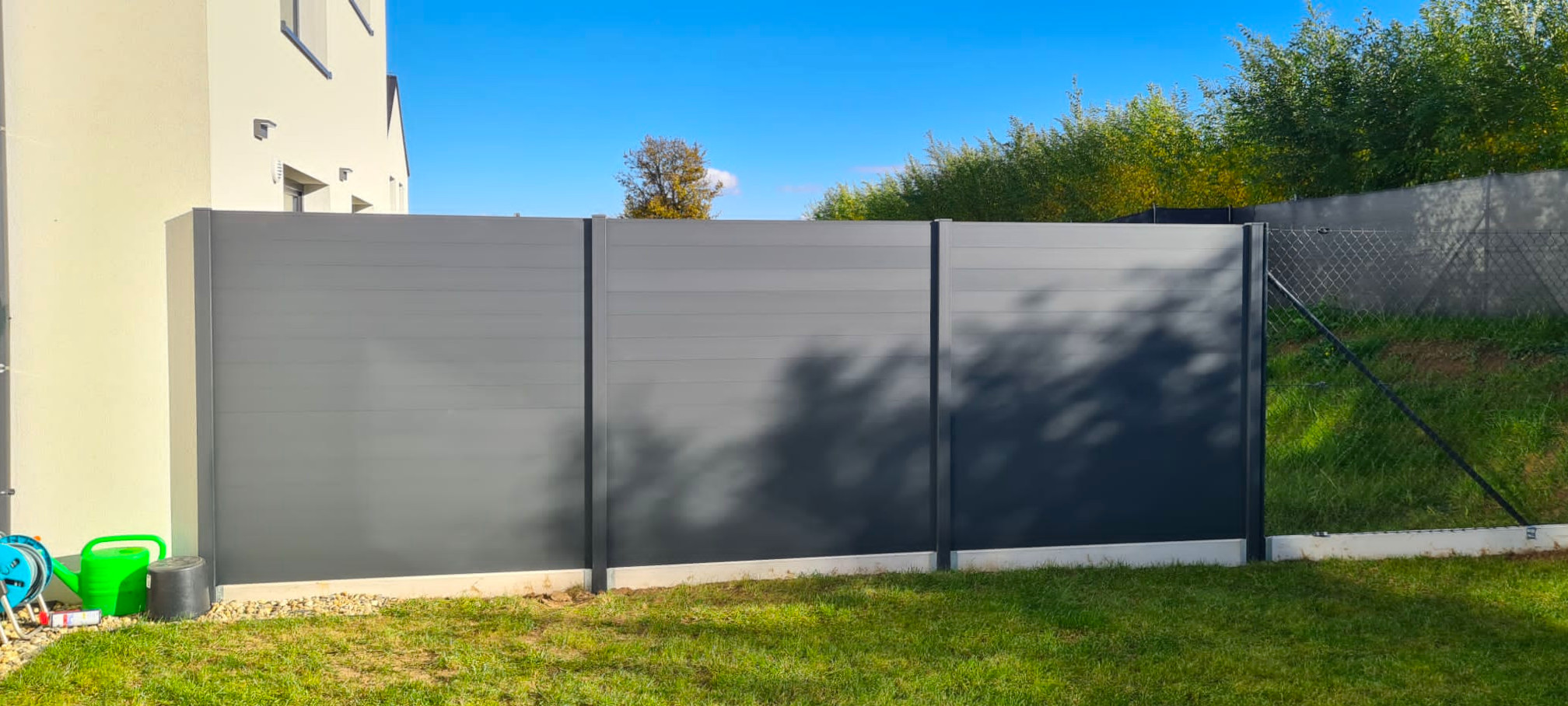 media_20241029_140336_1405652024419587681