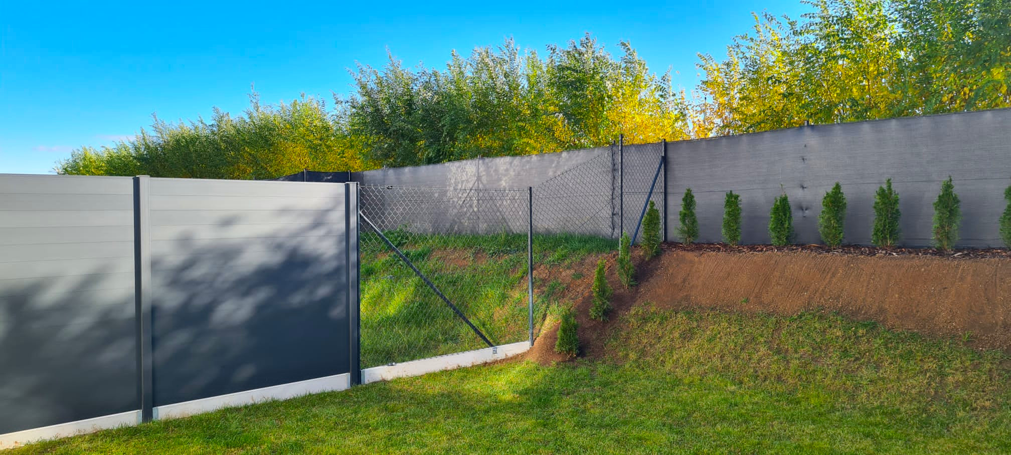 media_20241029_140336_5918294201900094056