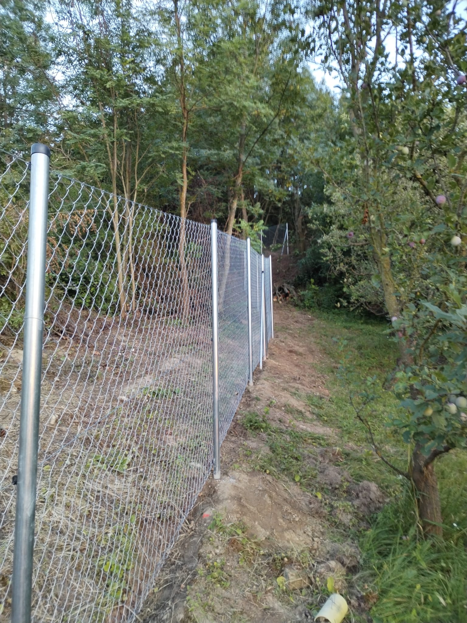 0ef8ee09-f141-44c9-b119-4e174e86e57b