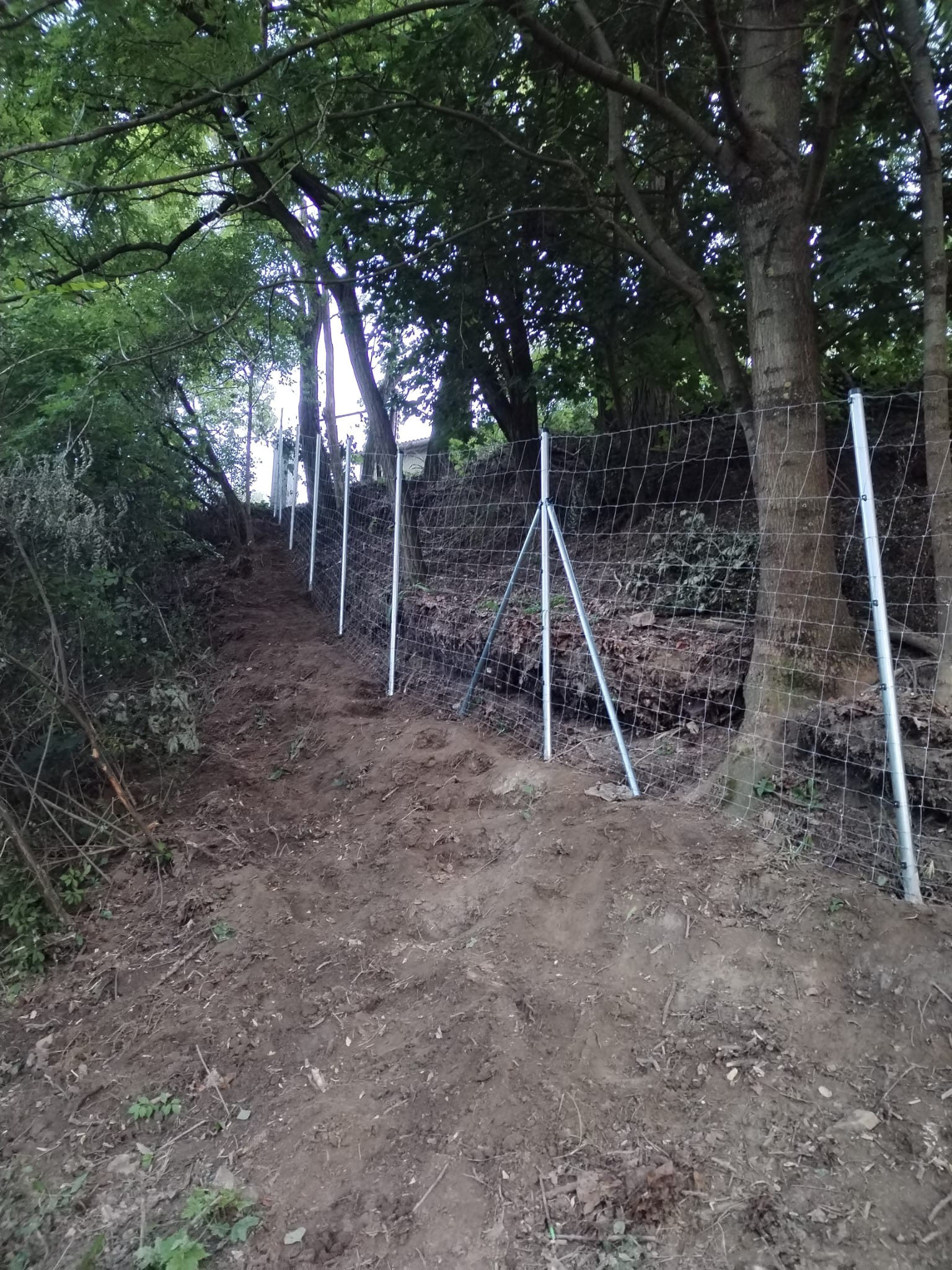 5533e552-45d7-42ff-ad66-b07f925a148b