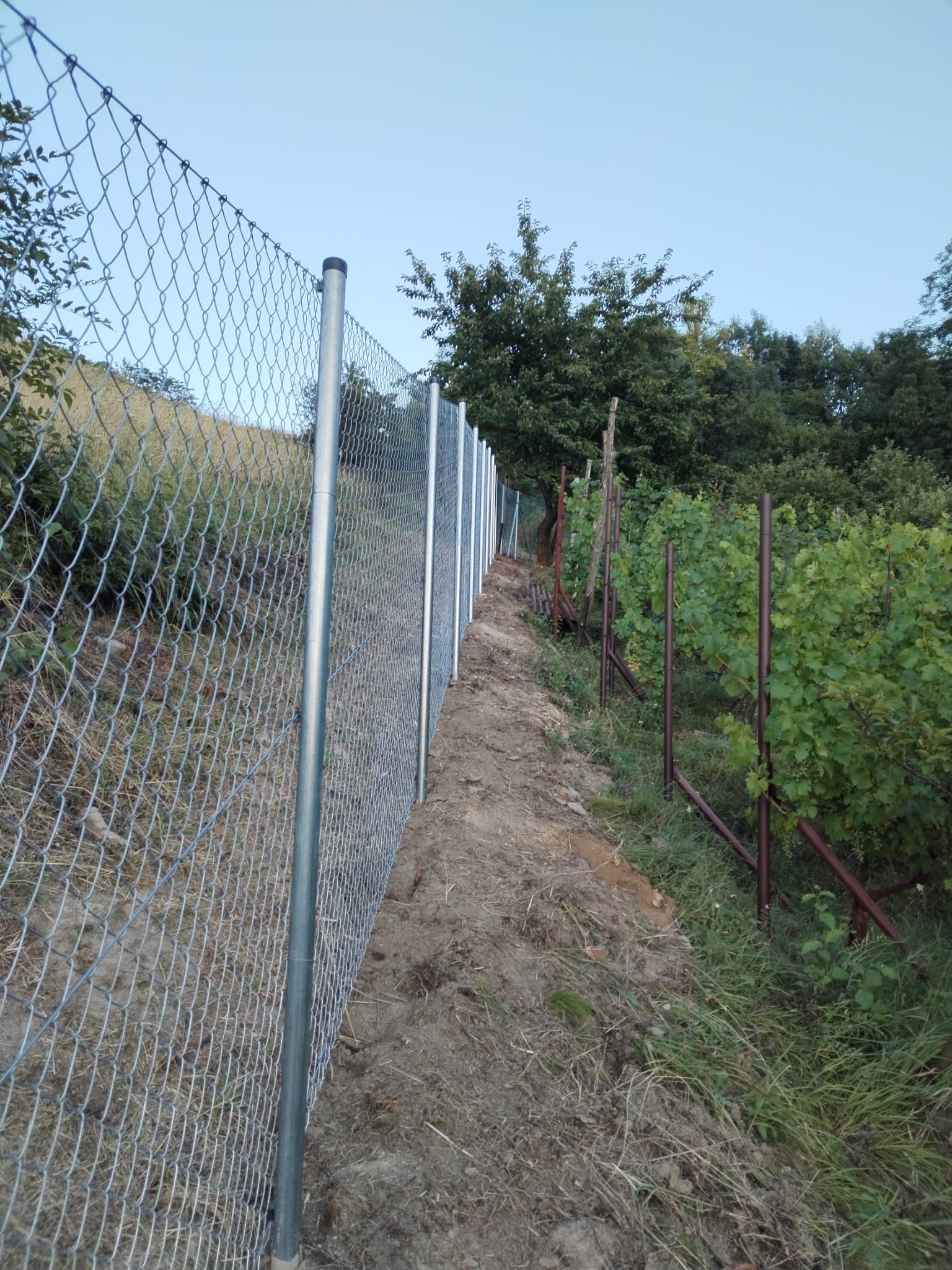 68cfbb73-9c84-4f6a-8c68-8849a50b4e86