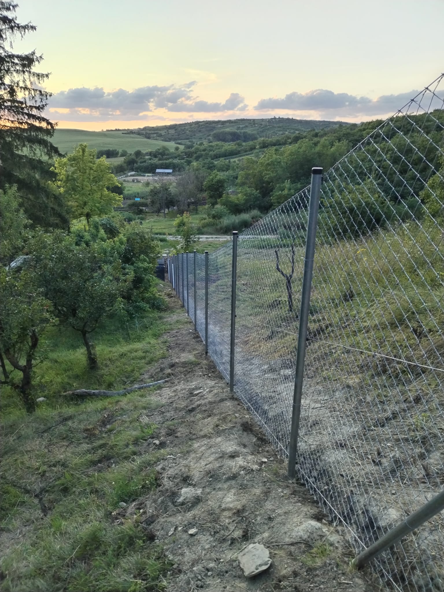 896db3b2-7c73-4ec3-953b-4f90c76c4bc2