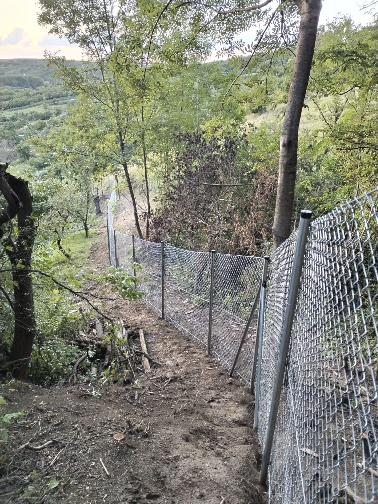 cf30eef1-2470-435f-ab30-ddd2a52ef7bf