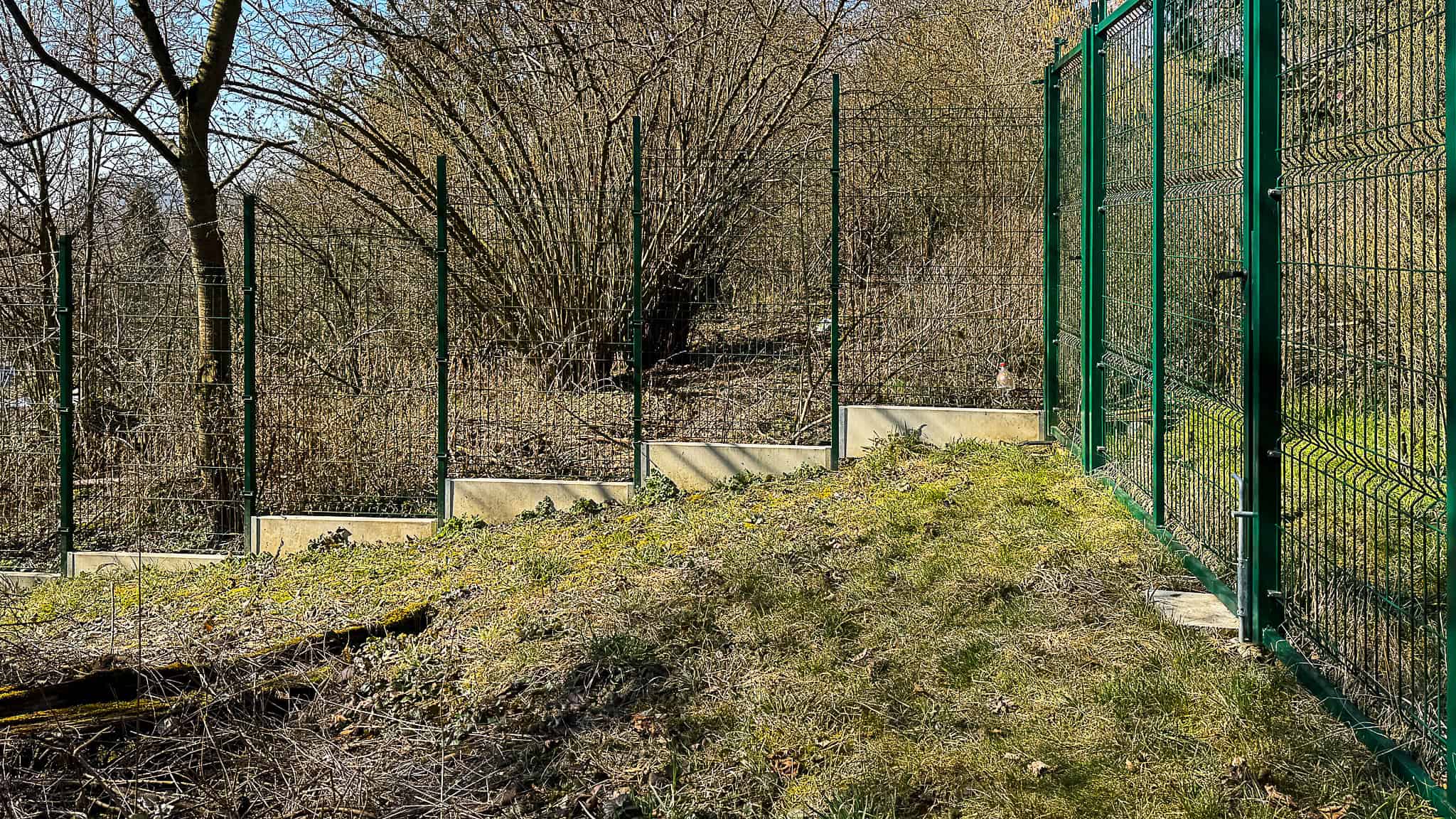 IMG_5373