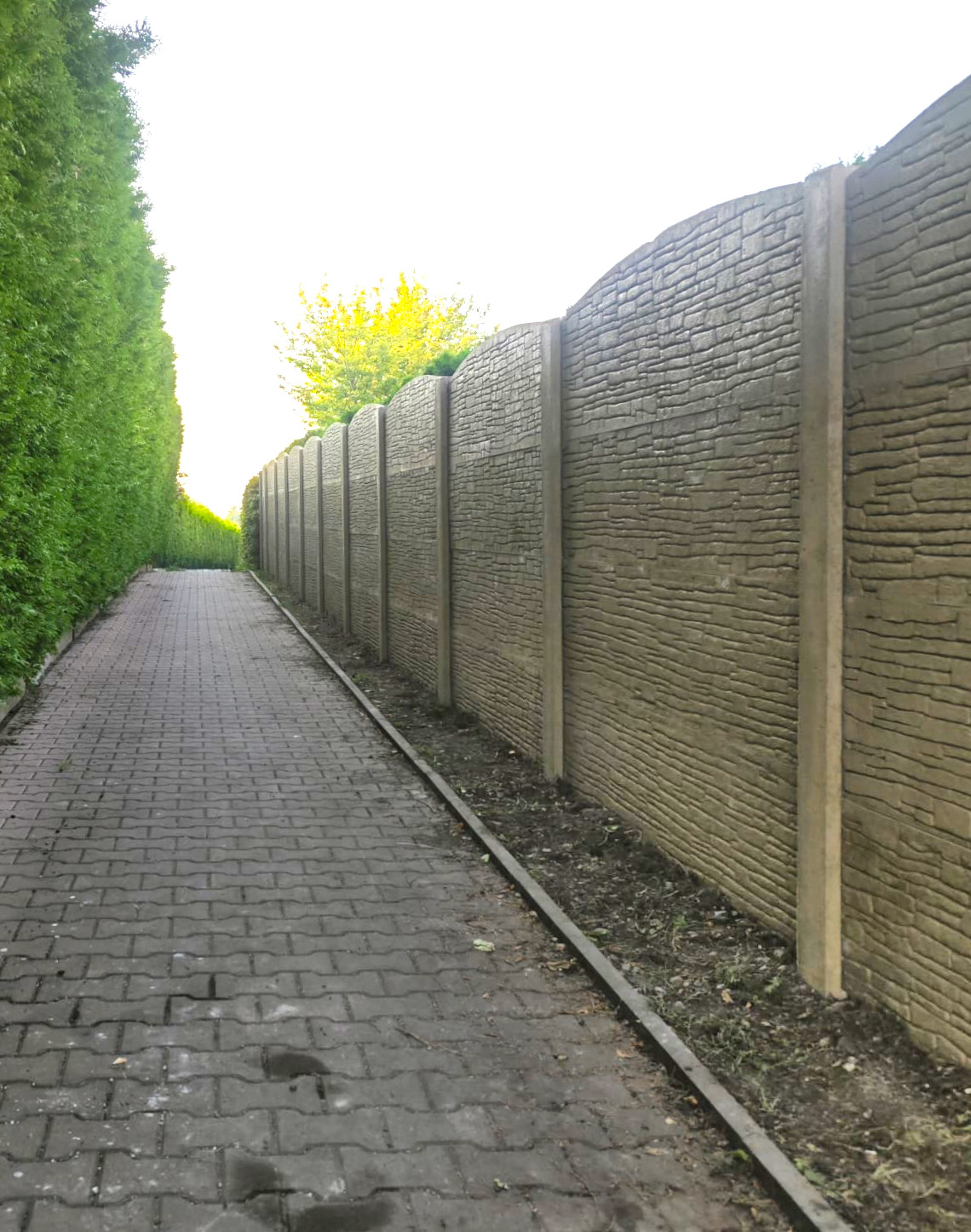 a797f154-eb77-4778-b95f-72aec1c054ec