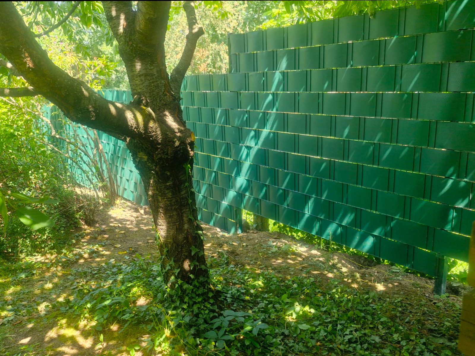 18e39c9c-c50c-4810-b6d2-e2887123a7f3