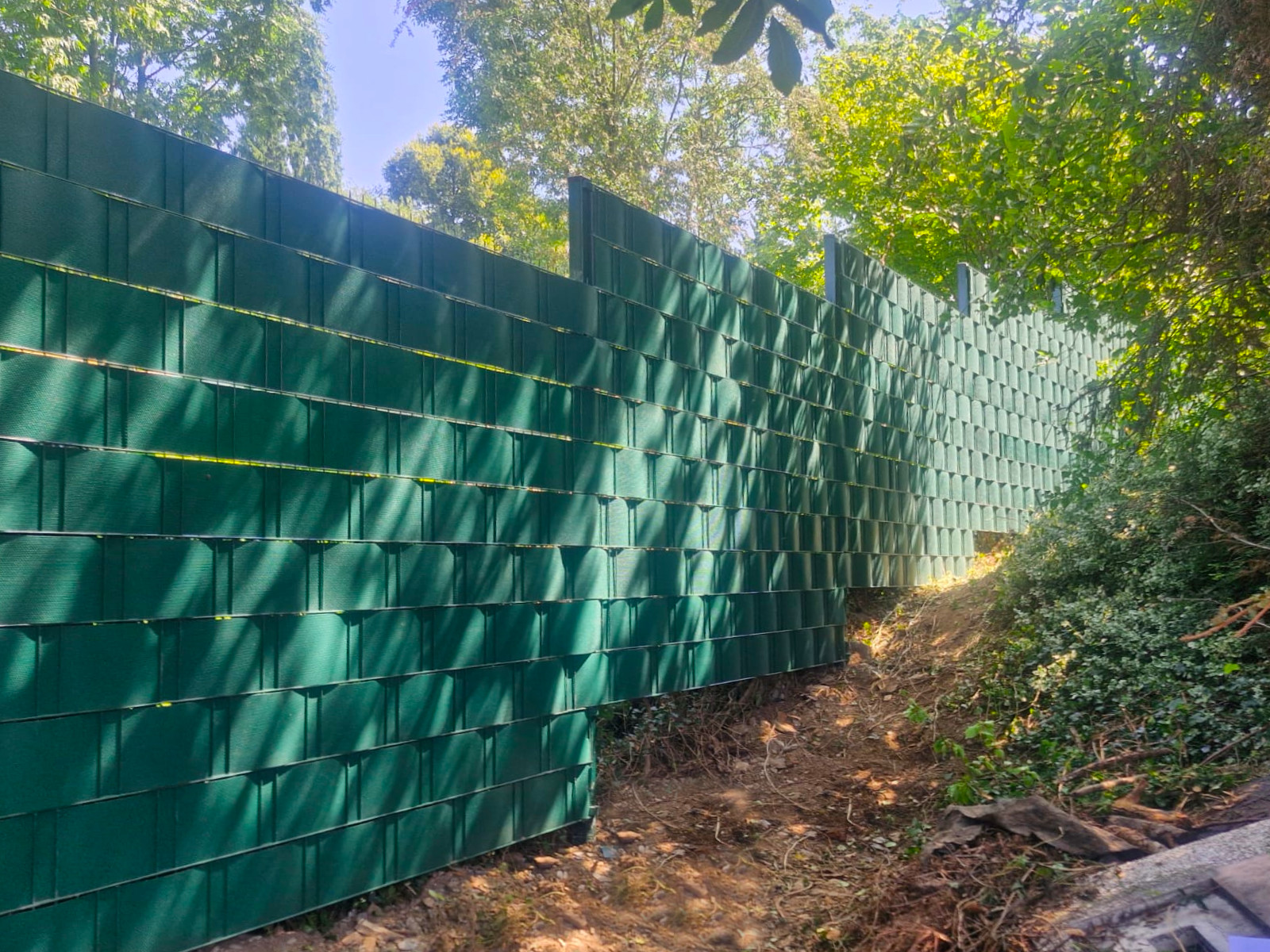 6c396c92-9787-405d-a89a-8e46d2026969