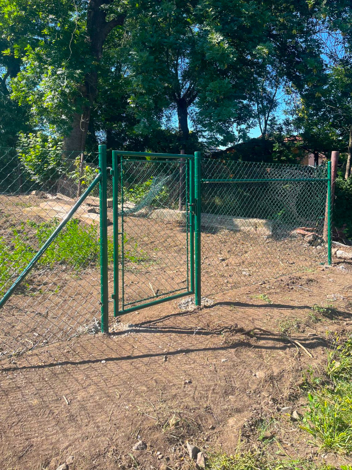 49a155b2-393a-4054-b4a4-593a5e6bafe3