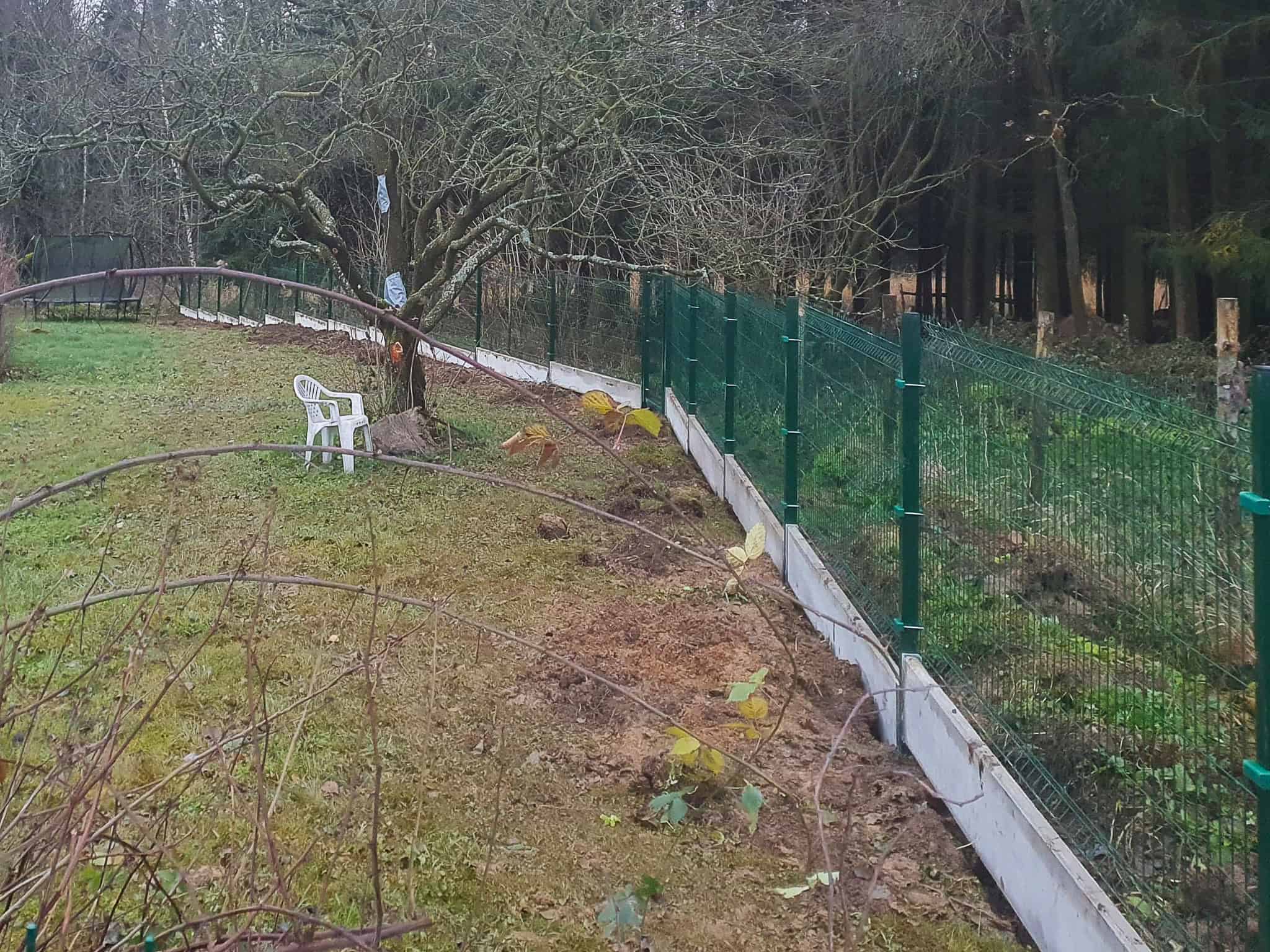 229b8980-ea50-48bd-92ad-c6b2f0b62511